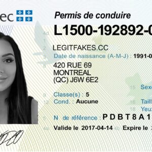 international Driver’s License