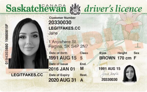 Saskatchewan international driving permit